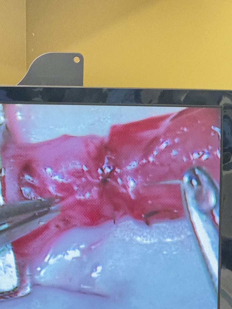 Philip S. Li tweet media