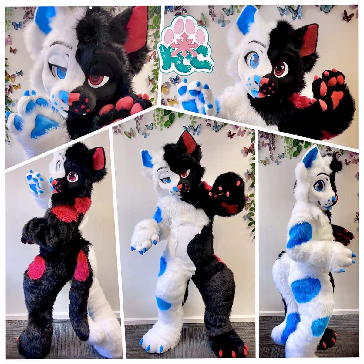🖤❤️Split the cat💙🤍