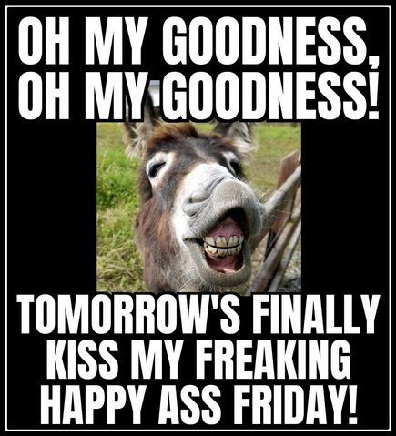 Rare Donkz (@raredonkz) on Twitter photo 