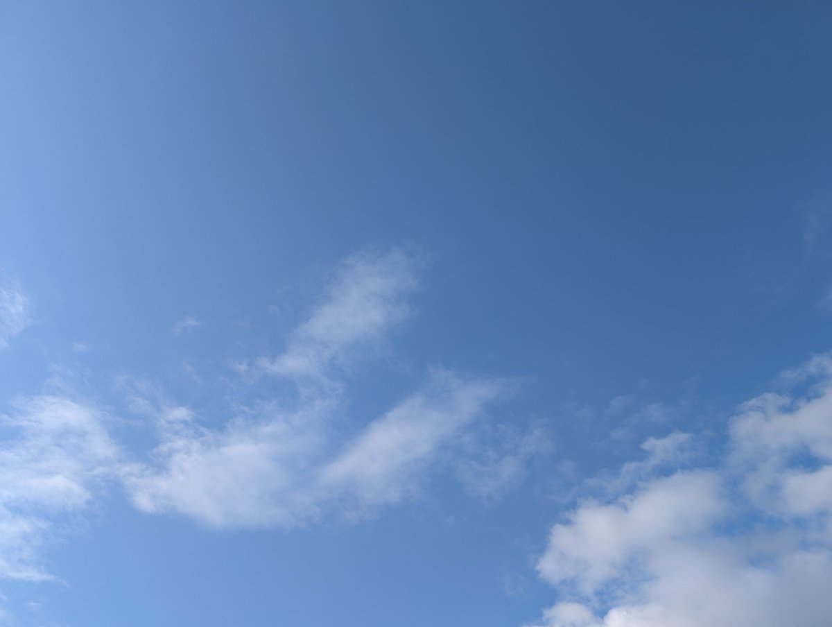 おはようございます！

今日の明石の天気は晴れ🌞

華金ですね🌸テンション上げて仕事頑張ります️💪✨

本日もよろしくお願いします😊

#企業公式が毎朝地元の天気を言い合う #木戸食品