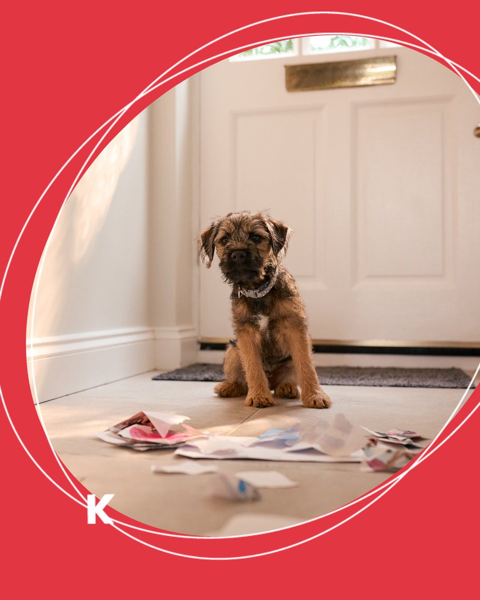 WeAreKymera's tweet image. Think direct mail is dead? Think again! Did you know direct mail marketing has a 4.4% response rate compared to email's 0.12%? 🤯 Let Kymera make your mail stand out. #DirectMail #MarketingFacts #MarketingHumor #DidYouKnow #KymeraMarketing wearekymera.com