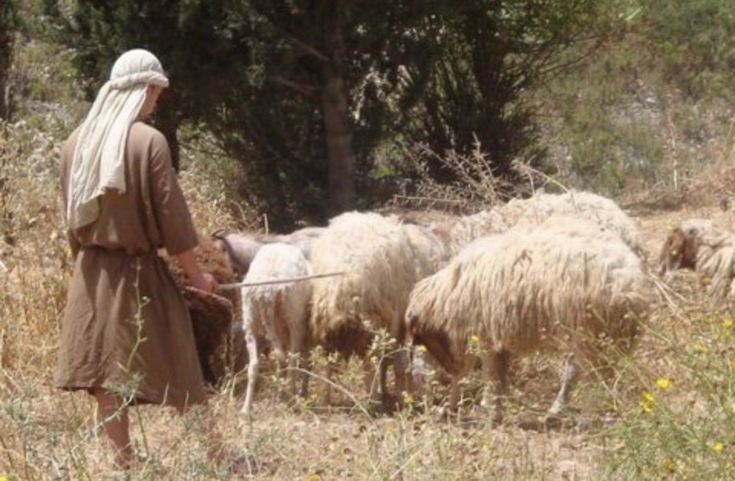 خرج الحجاج بن يوسف ذات يوم للصيّد فرأى تسعة كلاب إلى جانب صبي صغير السن عمره نحو عشر سنوات وله اغنام 

فقال له الحجاج: 
ماذا تفعل هنا أيها الغلام؟ 

فرفع الصبي طرفه إليه وقال له :

يا حامل الأخبار لقد نظرت إلىّ بعين الاحتقار وكلمتني بالافتخار وكلامك كلام جبار وعقلك عقل بغال !!!.