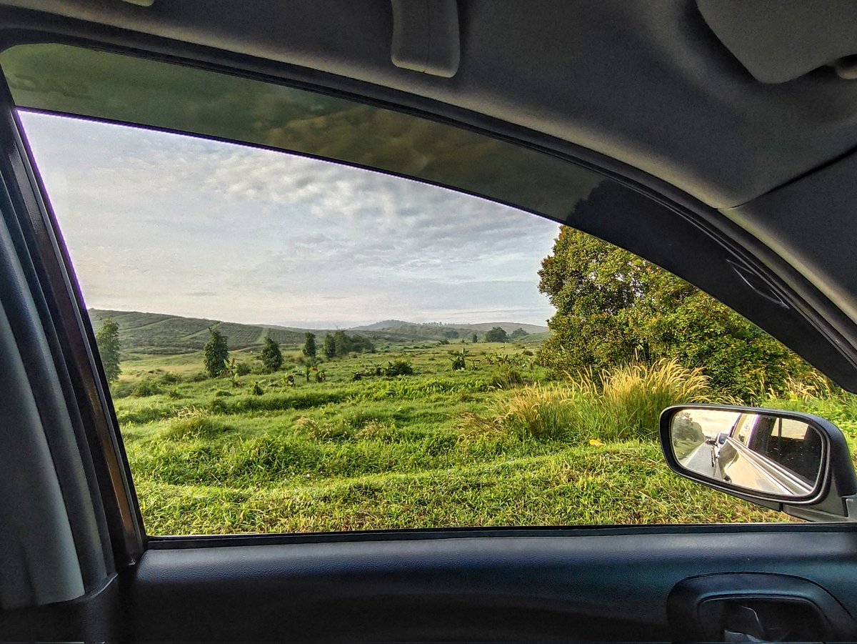 Tiap hari lalu jalan ni tak pernah perasan yang kiri kanan view ni cantik.