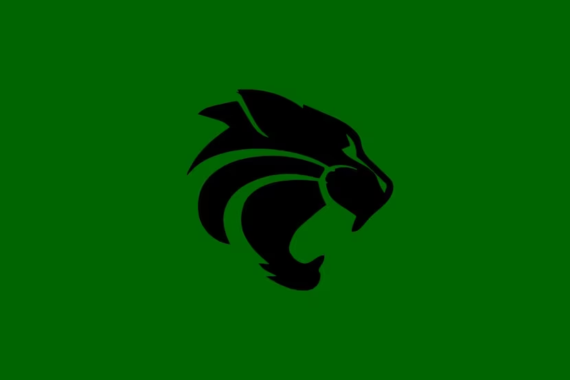 SportsDayHS tweet media