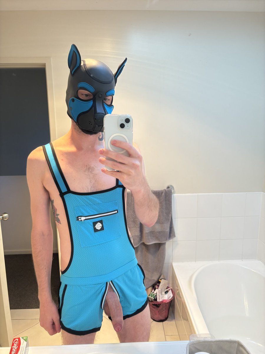 PupSnowy🐶❄️ tweet media