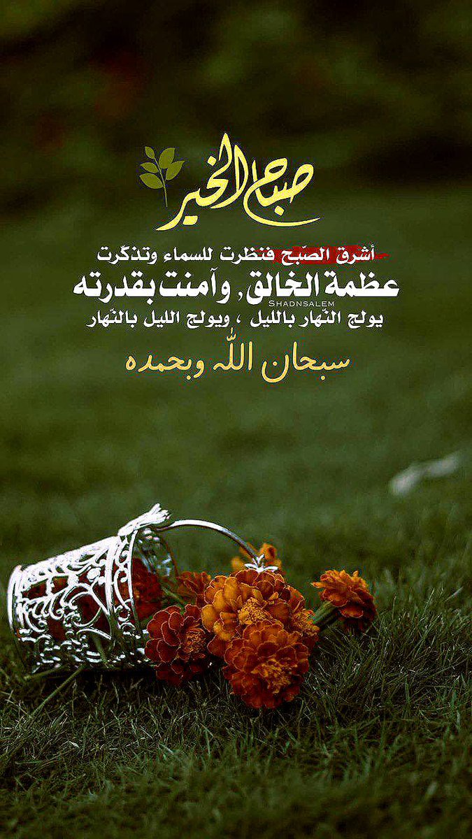 #جمعة_طيبه
#صباح_الخير
#رمضان_مبارك
اللّهم إني أسألك بأسمك الأعظم الذي إذا دُعيت به أجبت، أن تستجيب لنادعواتنا وتُحقّق رغباتنا وتقضي حوائجنا وتفرج كروبنا وتغفر ذنوبنا وتستر عُيوبنا وتتوب علينا وتعافينا وتعفو عنا.
اللهُم أجعل كل مايتمناهُ قلبي تراهُ عيني يارب . 🤲