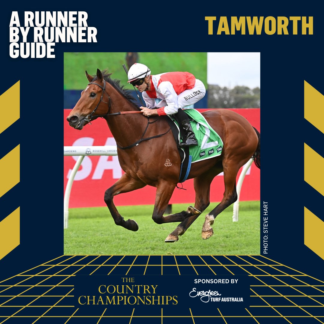 Racing NSW (@racing_nsw) on Twitter photo "How this race is approached from the wide gate will be interesting."
<a href="/ray_hickson/">Ray Hickson</a> provides his thoughts on every runner in Sunday's $150,000 Evergreen Turf Hunter & North West Country Championships at Tamworth. 👇
READ: tinyurl.com/mrx99k87 "How this race is approached from the wide gate will be interesting."
<a href="/ray_hickson/">Ray Hickson</a> provides his thoughts on every runner in Sunday's $150,000 Evergreen Turf Hunter & North West Country Championships at Tamworth. 👇
READ: tinyurl.com/mrx99k87