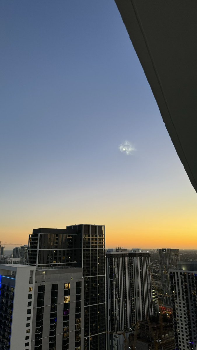 Bogdan Savonea tweet media