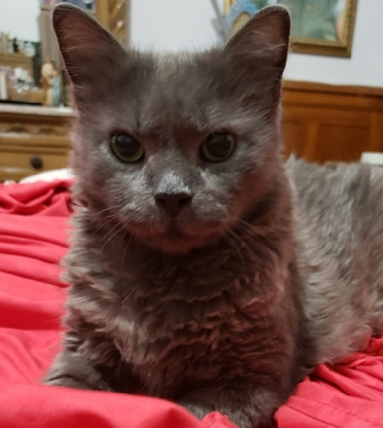 Jack5928 tweet media