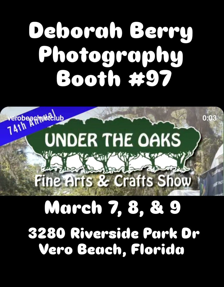 Hello to whoever says it back