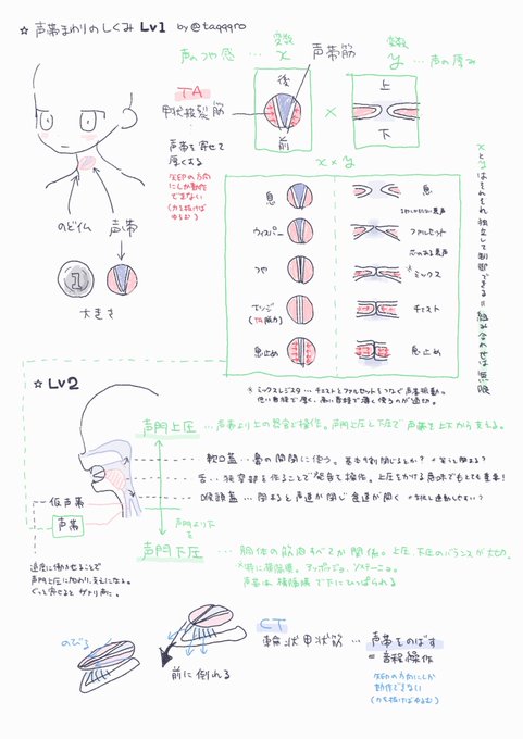2年間の研究の一部を歌友達に送ったら塩反応だったのでここで供養します…🥲大切なのは概要だけで用語を覚える必要はないです。指摘があったらリプください。 