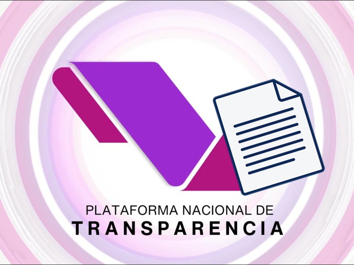 Te invitamos a leer la columna de Ricardo Salgado Perrilliat “Solicitudes de transparencia como prueba en el juicio de amparo”. ✍️ <a href="/rsperrilliat/">Ricardo</a> #OpiniónLSR lasillarota.com/opinion/column…