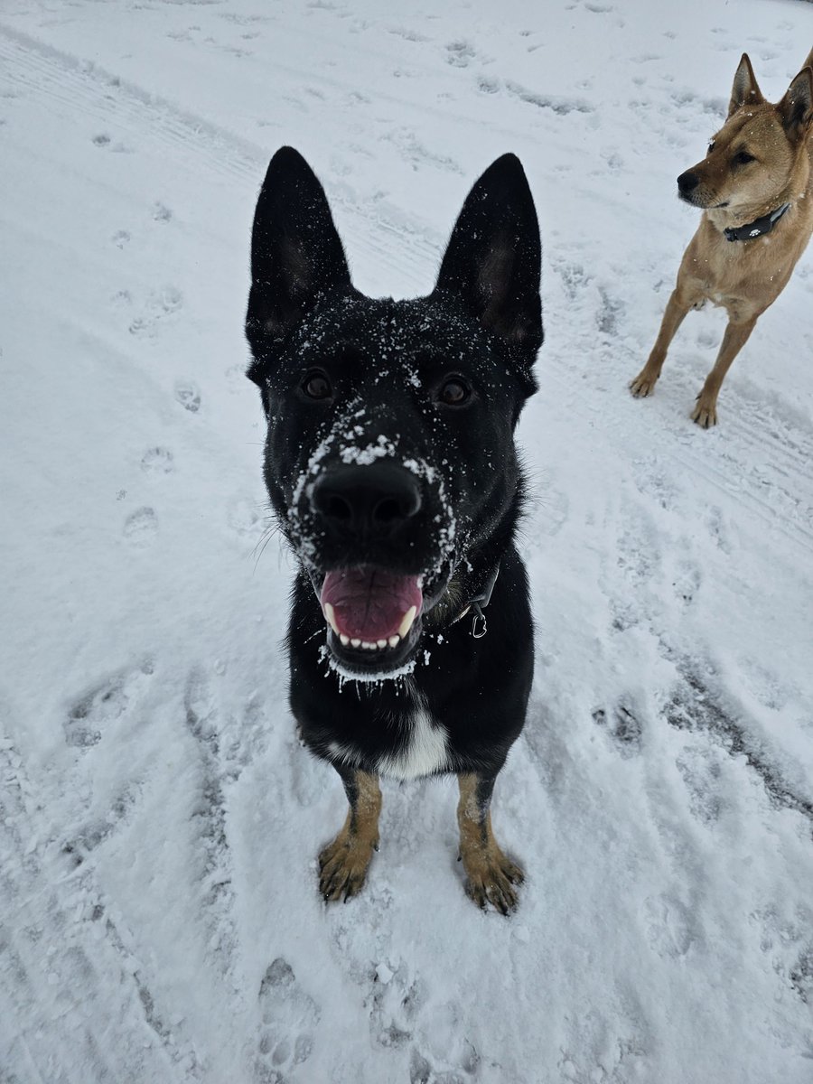 니가 눈을 한트럭을 퍼먹고 물똥을 싸도............아무튼.....사랑하긴 사랑한다...