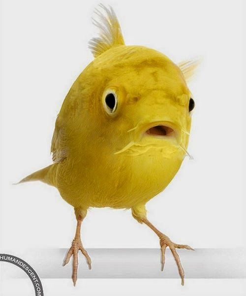 Delta6870 tweet media