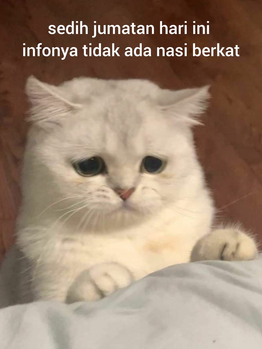 Ditempat sender infonya tidak ada nasi berkat, ditempat kalian ada tidak?