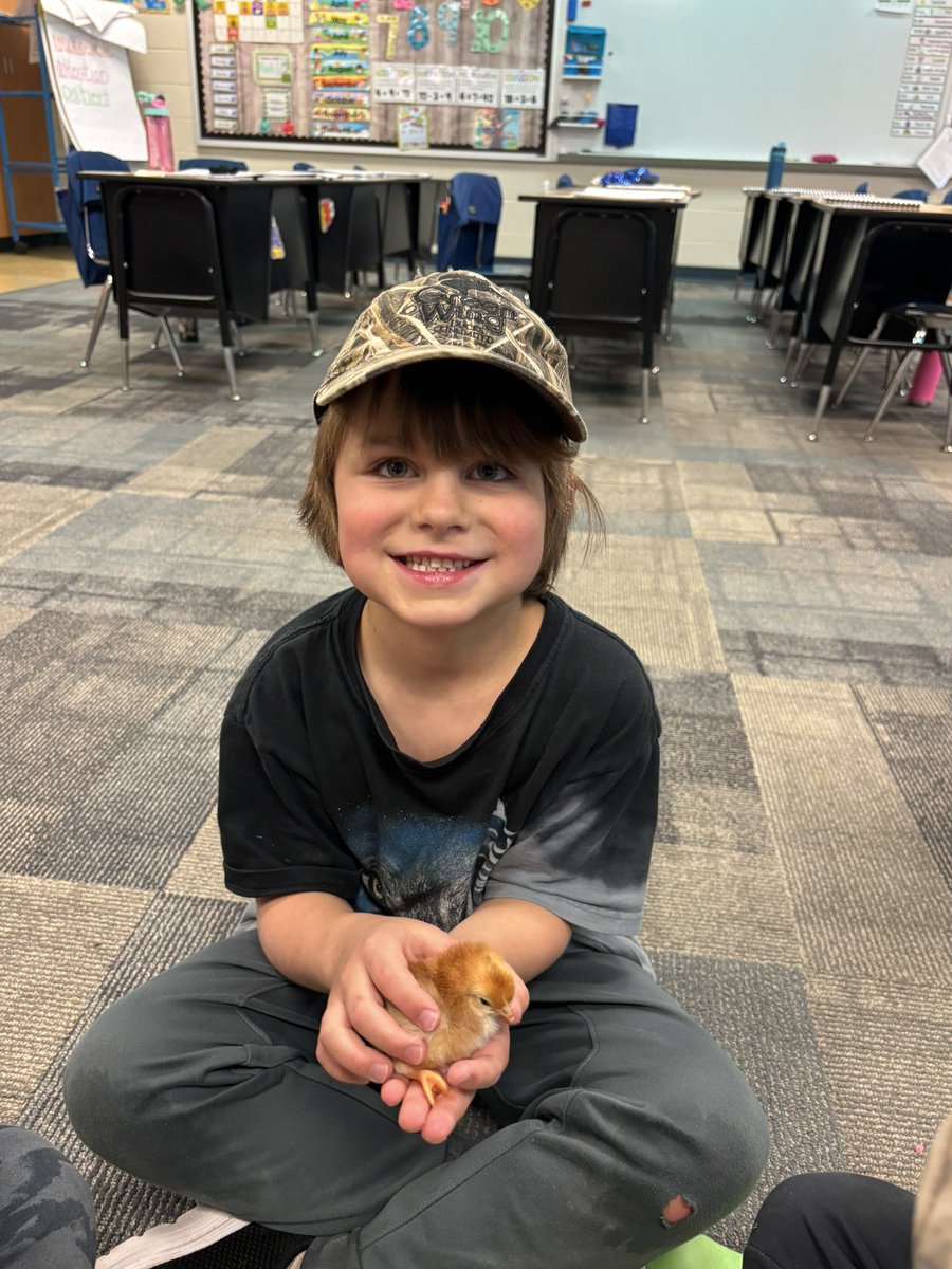 This is the best part of our embryology project. Playing with the 🐥 <a href="/ShellCreekVikes/">LCS Shell Creek Elementary</a>. I can’t decide which are cuter, the kids or the 🐤.