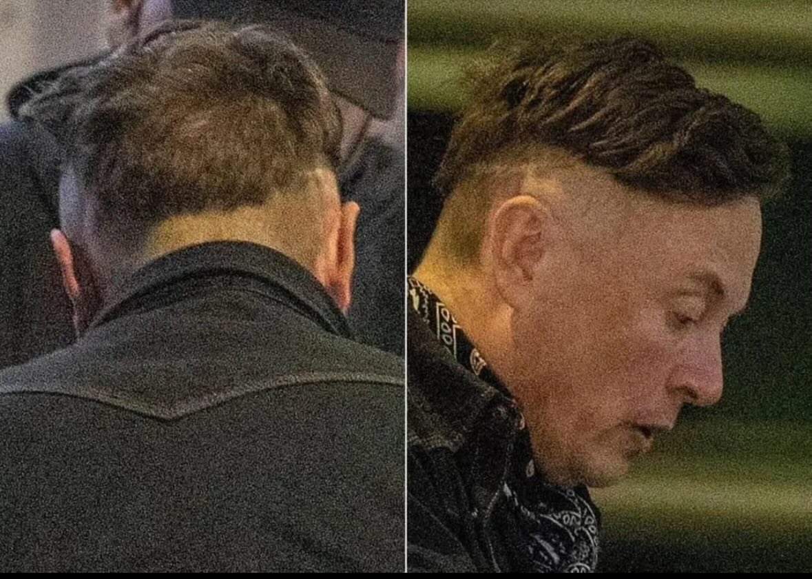 Elon booking his Nazi Barber on Wish.