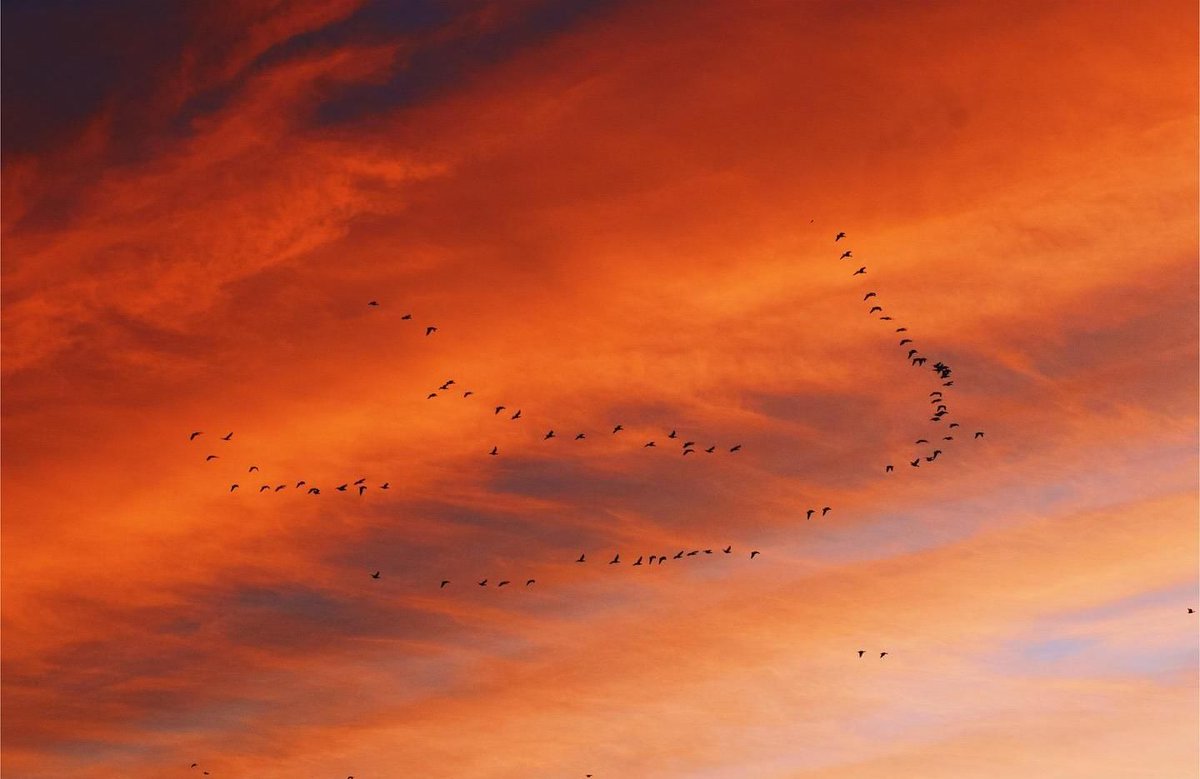 Moray Speyside at golden hour is pure magic! ✨ #EscapeYourEveryday

As the sun sets, the skies over Moray Speyside transform into breathtaking shades of pink and orange.

Have you captured a stunning Moray Speyside sunset?

📌 - Moray Speyside
📷 - tzujan.93 (IG)