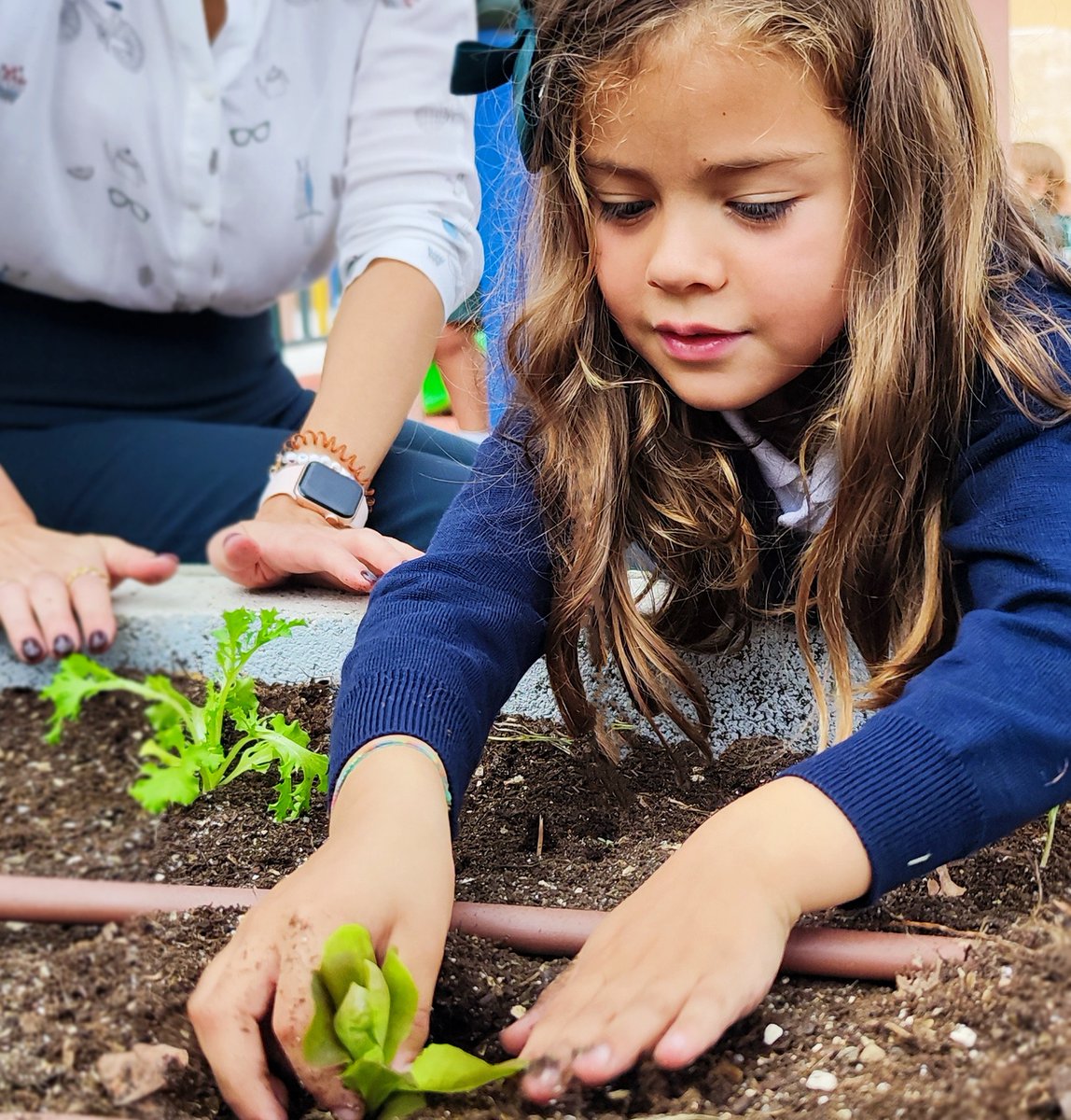 🟢 TRINY COLLEGE S.S. REYES 🟢

¡Abierto el plazo de presentación de #solicitudes para el Proceso de Admisión del curso 2025-2026! Etapas concertadas (2º Ciclo Ed. Infantil, Ed. Primaria y ESO).

💻 Más info: bit.ly/2NTdccS