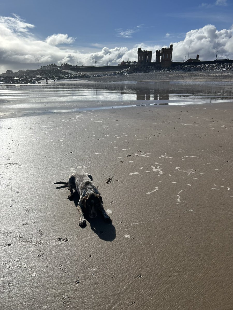 BenMarshall15's tweet photo. Bracing walk in East Riding post examinations at Hull and York medical school https://t.co/3tJoDSSwjw