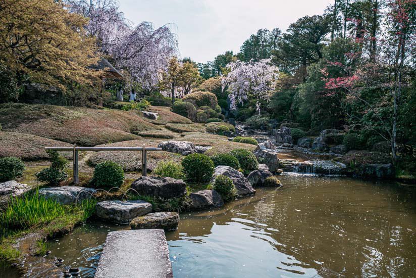 insightkyoto's tweet photo. 過去Pic【退蔵院で満開の枝垂桜を愛でる】2023/4/2撮影

枯山水の庭とのコラボレーションは見事です。

🔗 https://t.co/7gZMINwP4J

⛩京都フォトブログ<8か国語>
おすすめ観光スポット300ヶ所・630記事以上

#insightkyoto  #beautiful_kyoto 
#京都観光  #日本の四季  #美しい京都 
#妙心寺塔頭  #退蔵院  #退蔵院の桜 
#満開の枝垂桜  #枯山水の庭