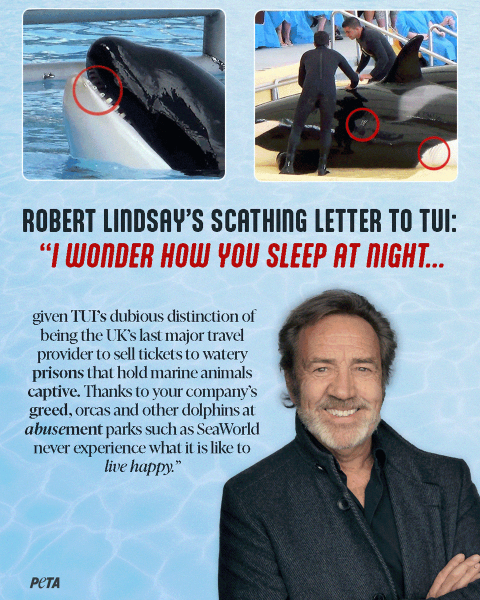 PETAUK's tweet photo. When it comes to speaking up for animals, @RobertLindsay does not hold back 👏

@TUIUK #RobertLindsay
1/2 https://t.co/7Uhn2ez8mi