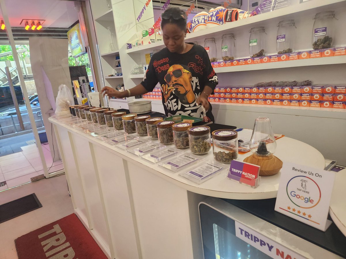 Back yard@Yu tweet media