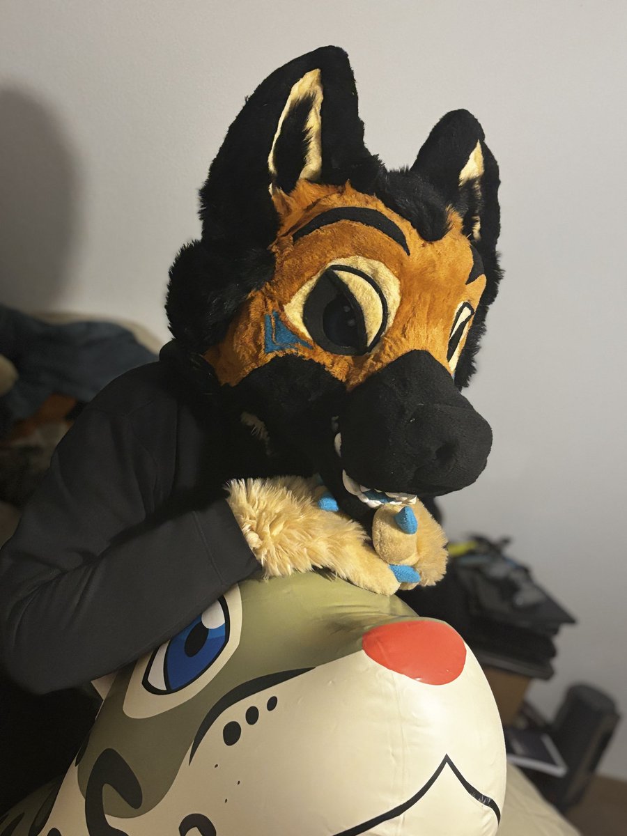 Happy #FursuitFriday from me and my #puffypaws snep. 

I guess Cats and dogs can get along after all. 

📸: <a href="/Okinaokami_/">Wolfnout</a>