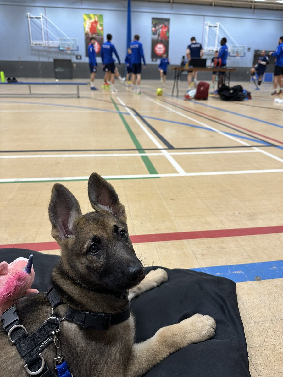 Becca Taylor tweet media