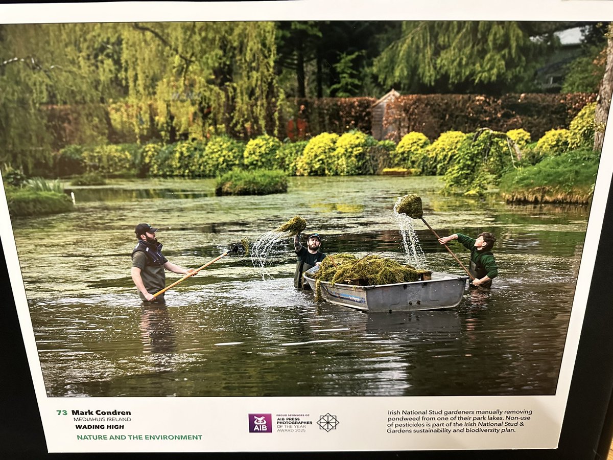 jane_last's tweet image. What a treat to see the @PressPhoto_IRL @AIBIreland Press Photographer of the Year Awards Exhibition in @DunLaoghaireTn Library today - including this winning entry from my old pal @markcondren @Independent_ie @DLR_Libraries