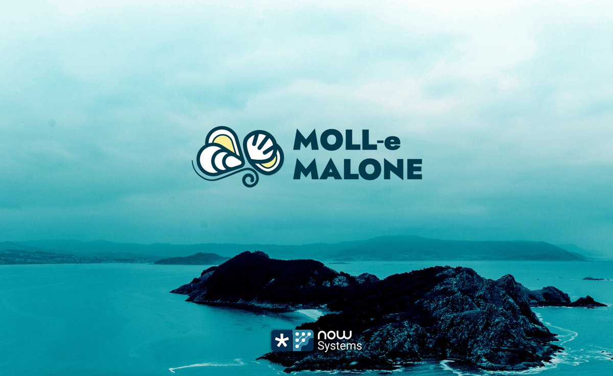 📣 Nace un proyecto para facilitar el uso de la información ambiental en la gestión de la producción acuícola y marisquera de la ría de Arousa.

🐚 MOLL-e MALONE 👉 nowsystems.eu/en/project-aqu…

📰 usc.gal/gl/xornal/nova…