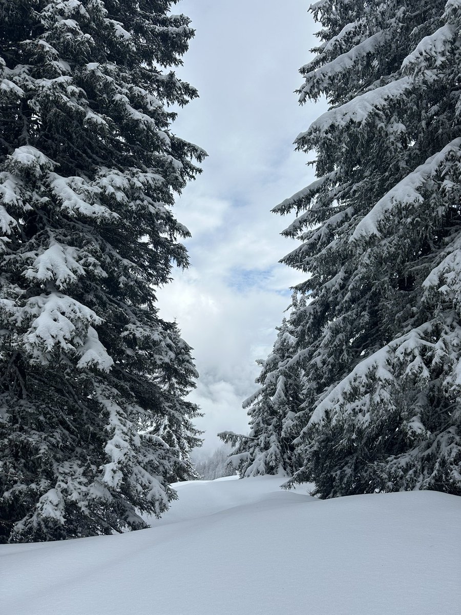 First shot at snowshoeing.