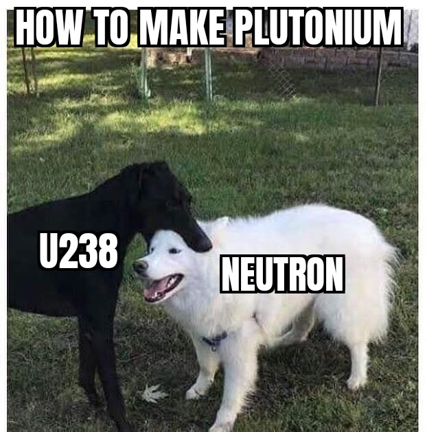 Plutonium is fuel for reactors. We have literally tons of Uranium-238 just laying around. A few decays (through Neptunium) and you get more fuel.