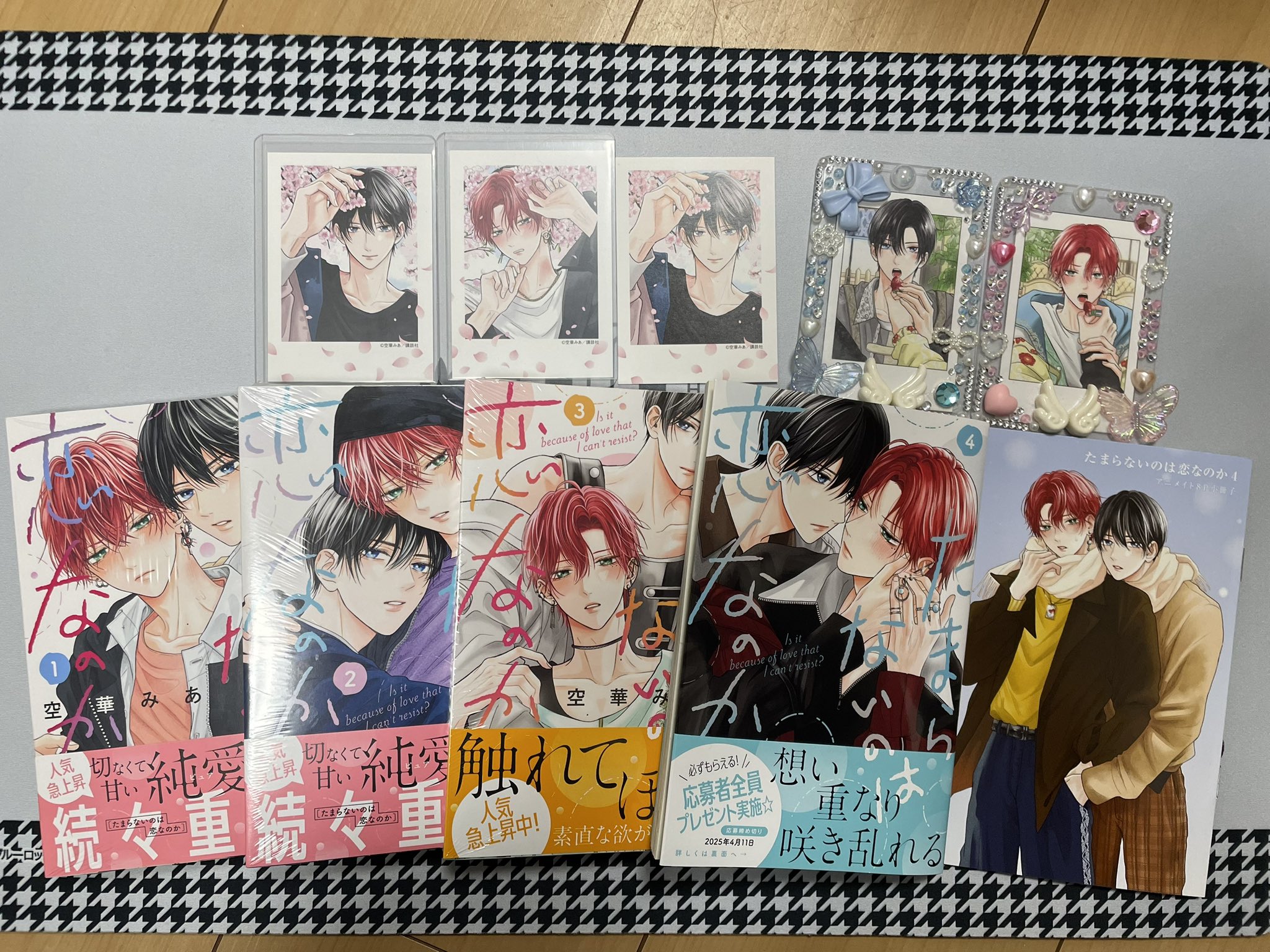 たまらないのは恋なのか 1 2 3 4 TSUTAYA アニメイト 特典 小冊子