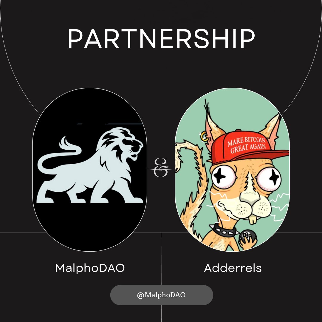 Malpho (@malphodao) on Twitter photo A collab for the tired rodents - sick of scams, wired on meds, brains toast. Something bold’s brewing for the burnt-out. Maybe a ray of hope (or cope). A collab for the tired rodents - sick of scams, wired on meds, brains toast. Something bold’s brewing for the burnt-out. Maybe a ray of hope (or cope).