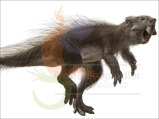cmkosemen's tweet photo. German palaeoartist Frederik Spindler was one of the inspirations behind my vision for #AllYesterdays . Speculative soft tissues, a natural view of animals, and lots of feathers 'n CHONK! And he was creating these in the early 2000s! See more on https://t.co/h2y338Ugbd https://t.co/Ws9cLdXeoB