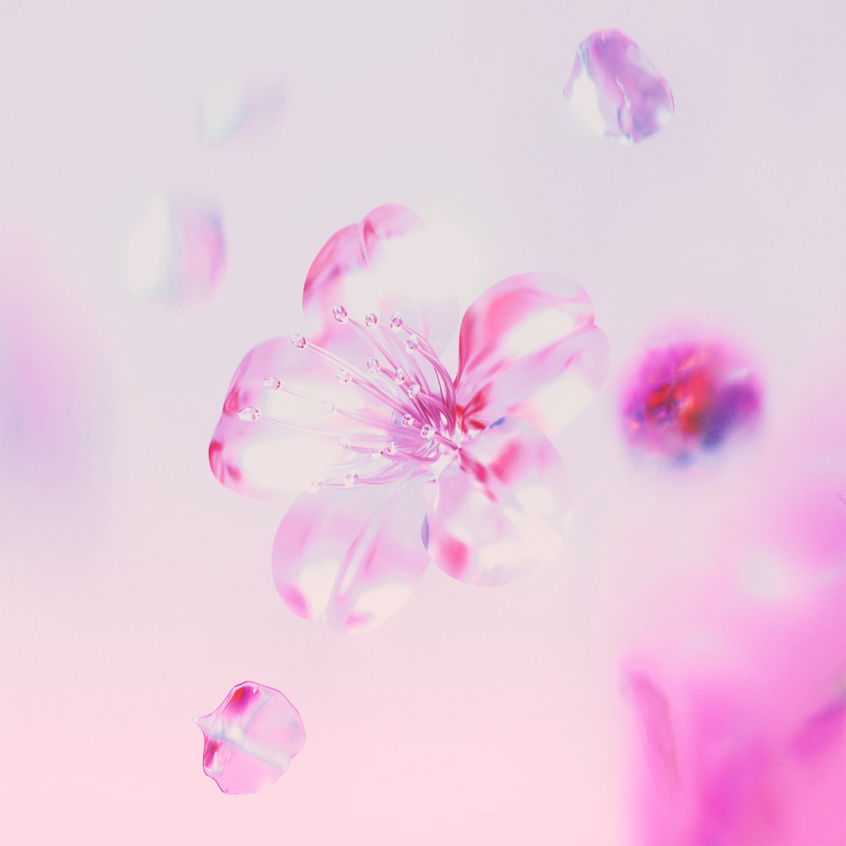 NEW RELEASE Aile The Shota 'SAKURA (Prod. Taka Perry)' Out Now