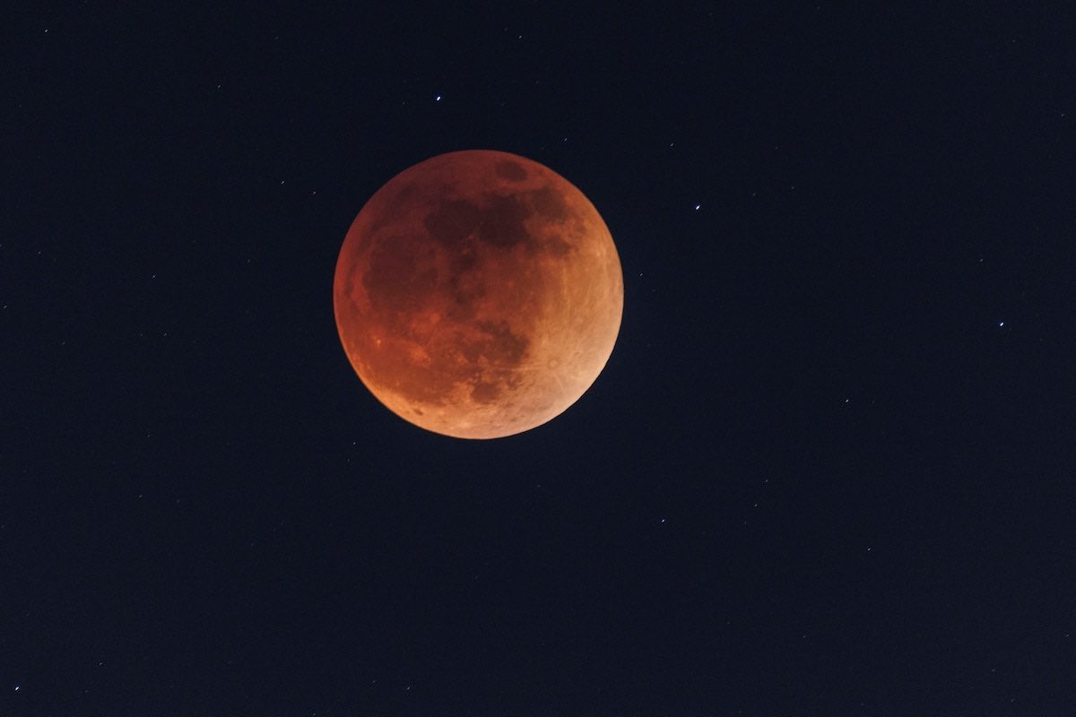 Efren_Cielo's tweet image. 📸   Durante la madrugada de hoy el viernes 14 de marzo de 2025, observando el eclipse de luna.

#México #Puebla #luna #eclipse  #eclipselunar #Eclipse2021 #Fotografía #fotógrafo  #ecielom #EfrenCielo © 🇲🇽