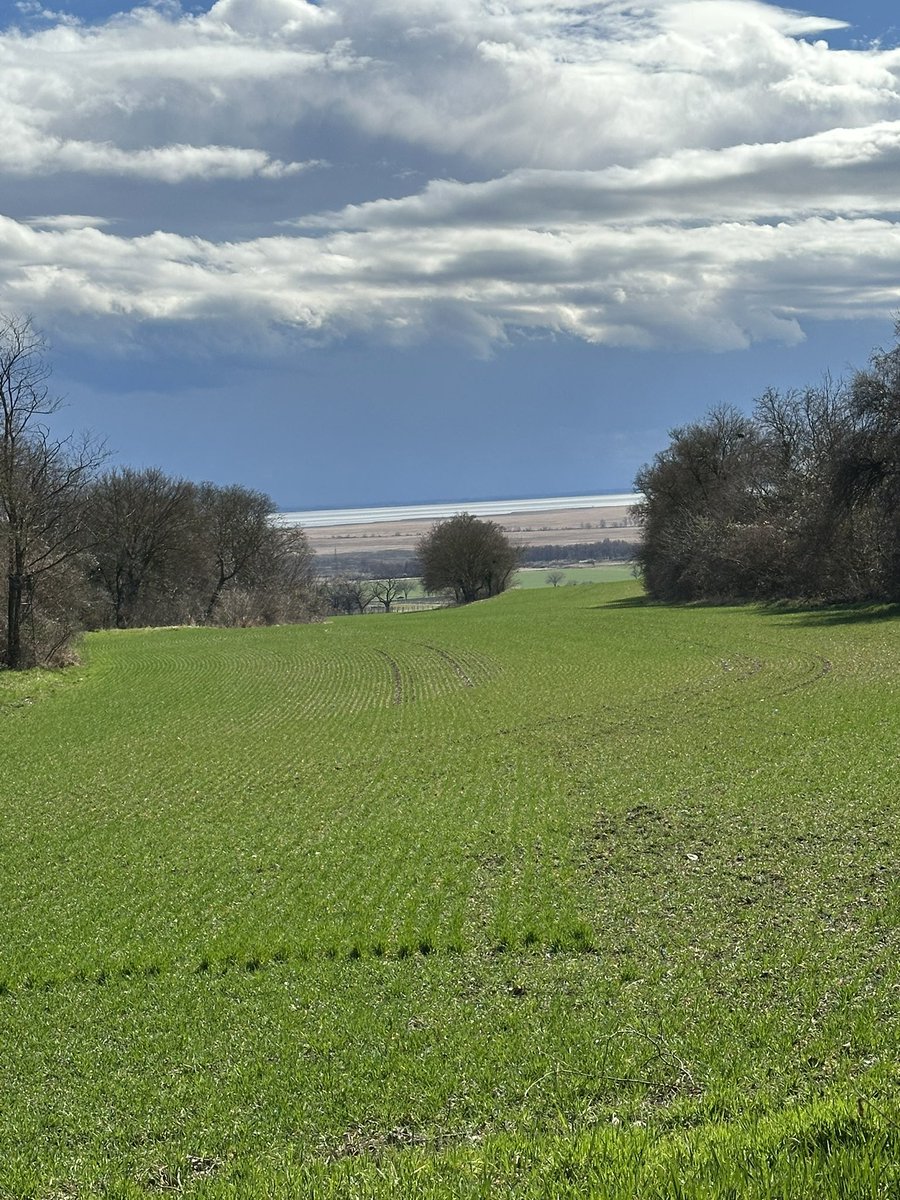 Blick auf den Neusiedlersee.