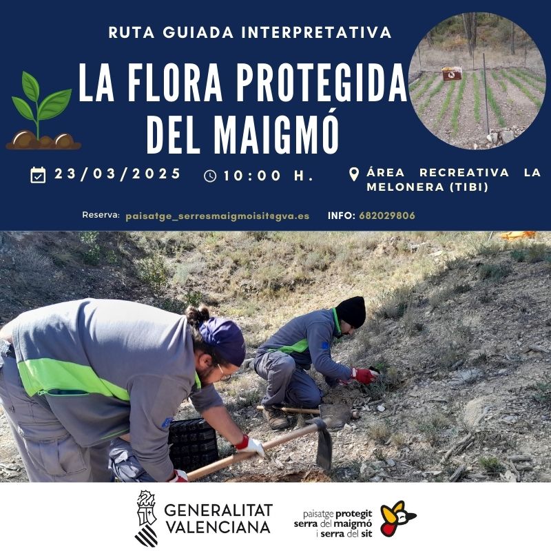 🌸El Paisatge Protegit de la Serra del Maigmó i la Serra del Sit, et convida a participar en aquesta nova activitat que realitzarem el diumenge, 23 de març amb el títol: LA FLORA PROTEGIDA DEL MAIGMÓ.

#gvamediambient
#gvaparcsnaturals
#serramaigmó