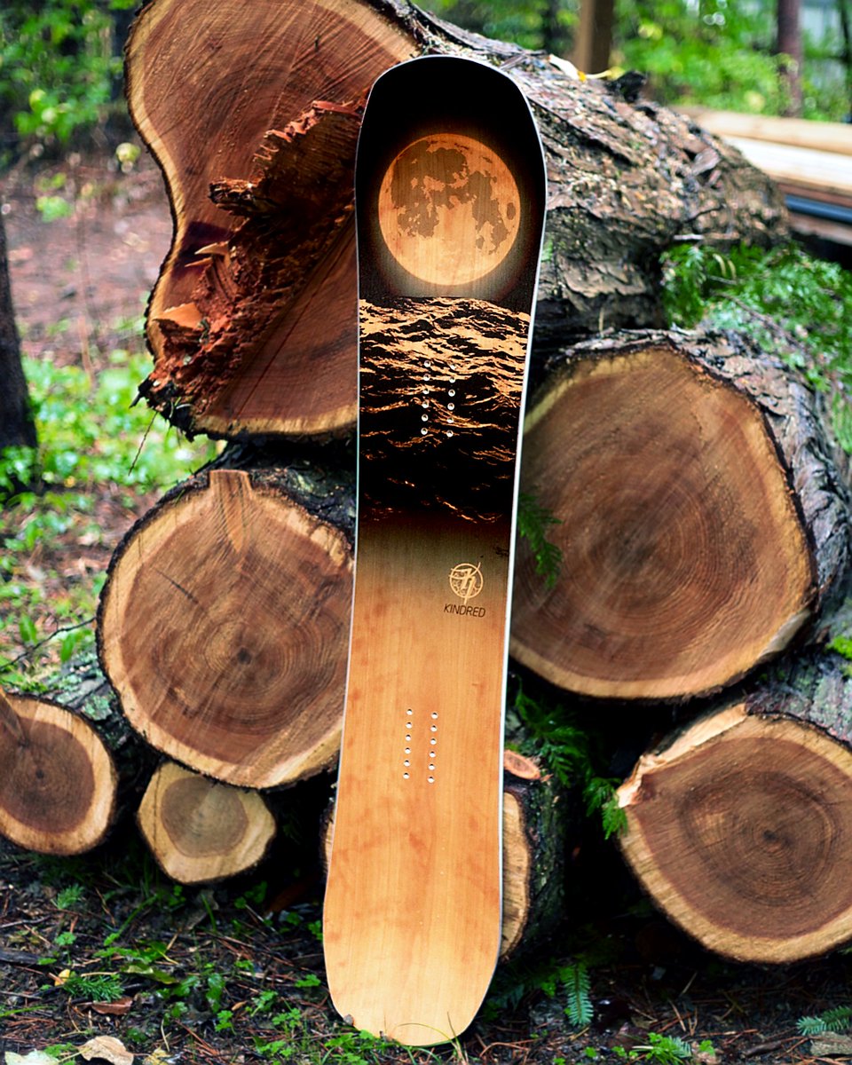 KindredSnow's tweet image. Full moon lunar eclipse and aurora borealis on pi day!