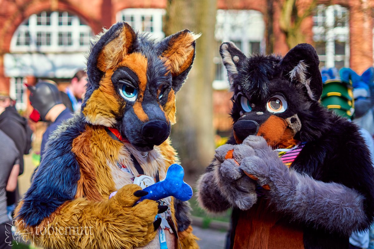 Cliff ππ§‘ π Cfz/MegaPlex (@cliff_747) on Twitter photo Two Sheps focused on a bone hehe this Fursuit Friday, hope everyone has a great day and who am I going to see at LFM tomorrow ππ§‘
πΈ <a href="/tobiemutt/">tobiemutt.co.uk π¦</a>
#FursuitFriday Two Sheps focused on a bone hehe this Fursuit Friday, hope everyone has a great day and who am I going to see at LFM tomorrow ππ§‘
πΈ <a href="/tobiemutt/">tobiemutt.co.uk π¦</a>
#FursuitFriday