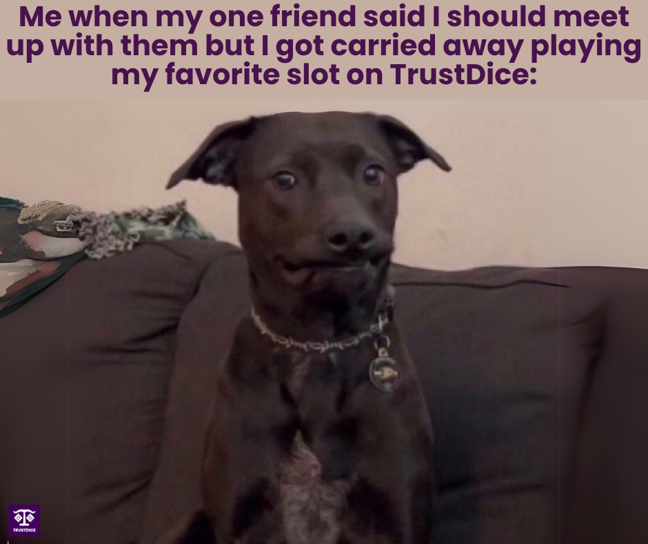 TrustDiceDrops's tweet image. Uhm... I&apos;m so sorry bro 😬😬 

#TrustDiceFun #Joke