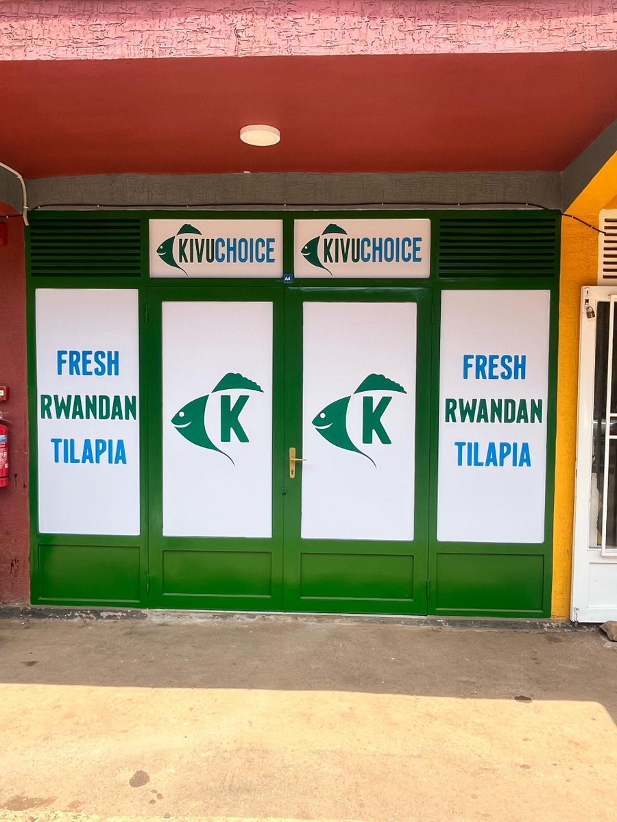 Kivuchoice's tweet image. 📍Kanombe, we’re almost ready! 🏗️ Big things are happening! Our Kanombe branch is coming to life, bringing you the freshest, locally grown tilapia 🐟 right in your neighborhood. More convenience, more jobs, more impact! Swipe for a sneak peek! #KivuChoice #NewBranch #Rwanda