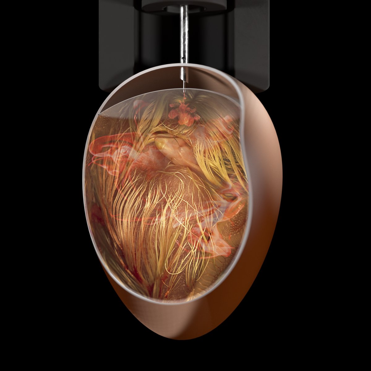 SmartVac™ is equipped with the Embryo Soft Touch® (EST®) technology. The sensor on the injector allows automatic and individual adaptation of the injection depth to each single embryo, regardless of egg and embryo size. Find out at VIV Asia or check: bit.ly/41YwLUt