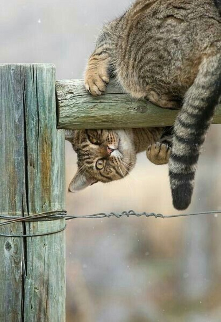 MehmetD16655031's tweet image. Değer'Sizsiniz..
,
           Kendinize
        ~nereden~ bakıyorsanız;
                                       Öylesiniz..

@aborizma2
#değerr #bakışş #starr
📸 @keskinrasit