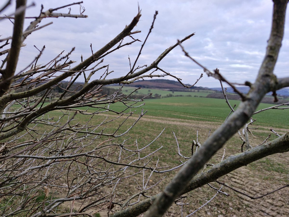 So the therapy walk this morning gave me this view of the #Shropshire hills, this is just outside #actonburnell