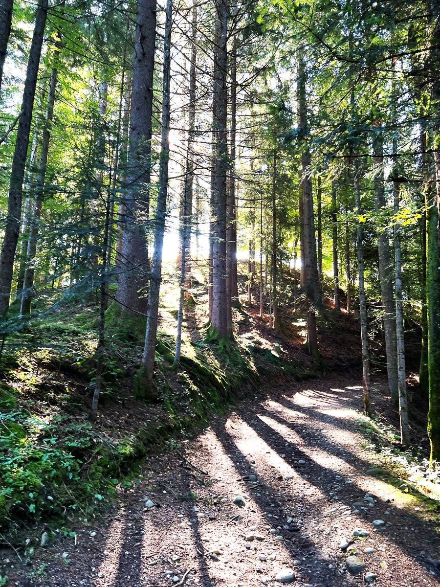 We need more forests and parks:
"Studies suggest that accessible natural areas are a serious resource for improving mental health in our rapidly urbanizing world," writes Hiroko Ochiai of the National Health Organization of Japan. 💚🌿☘️🌲🌳🌱🍀💚