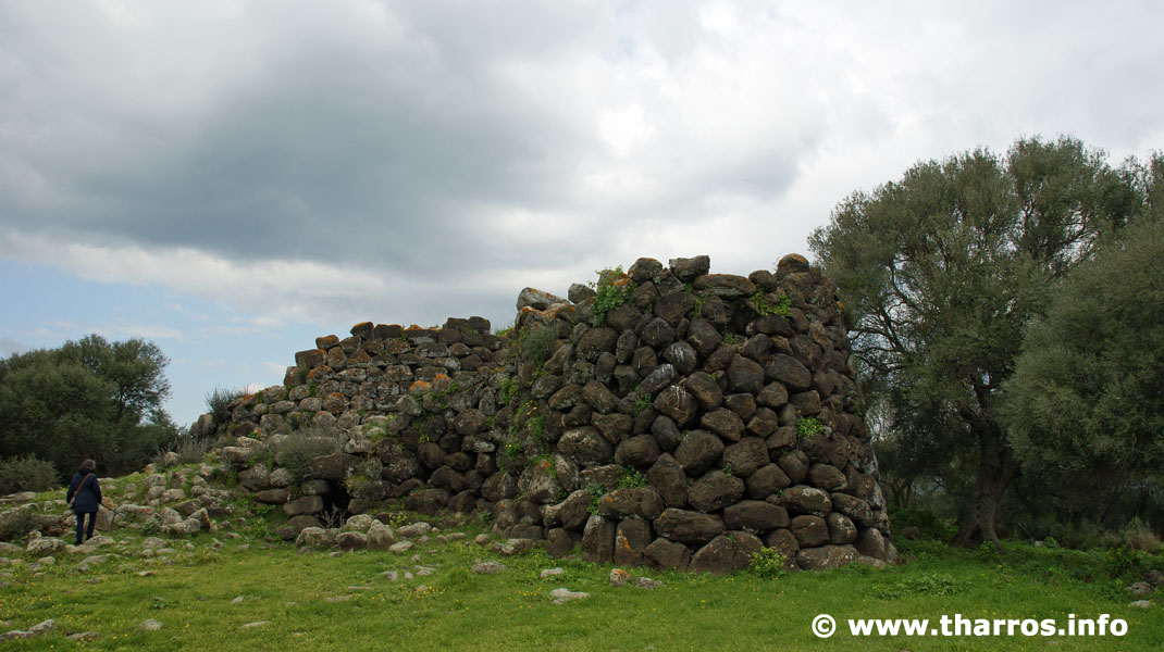 Nuraghi tharros.info/site/144/en Nuraghe Santa Barbara at Villanova Truschedu is a complex nuraghe with two towers and the remains of a settlement around it (March 2014)..  #sardinia #sardegna