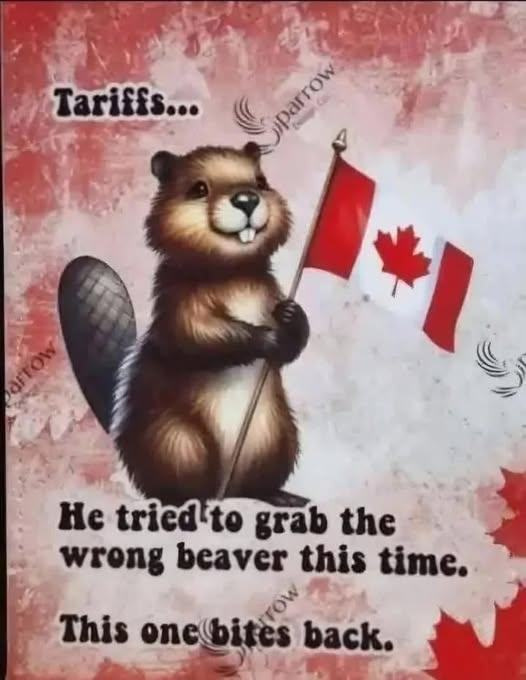 Canada fights back 🤣🤣🤣